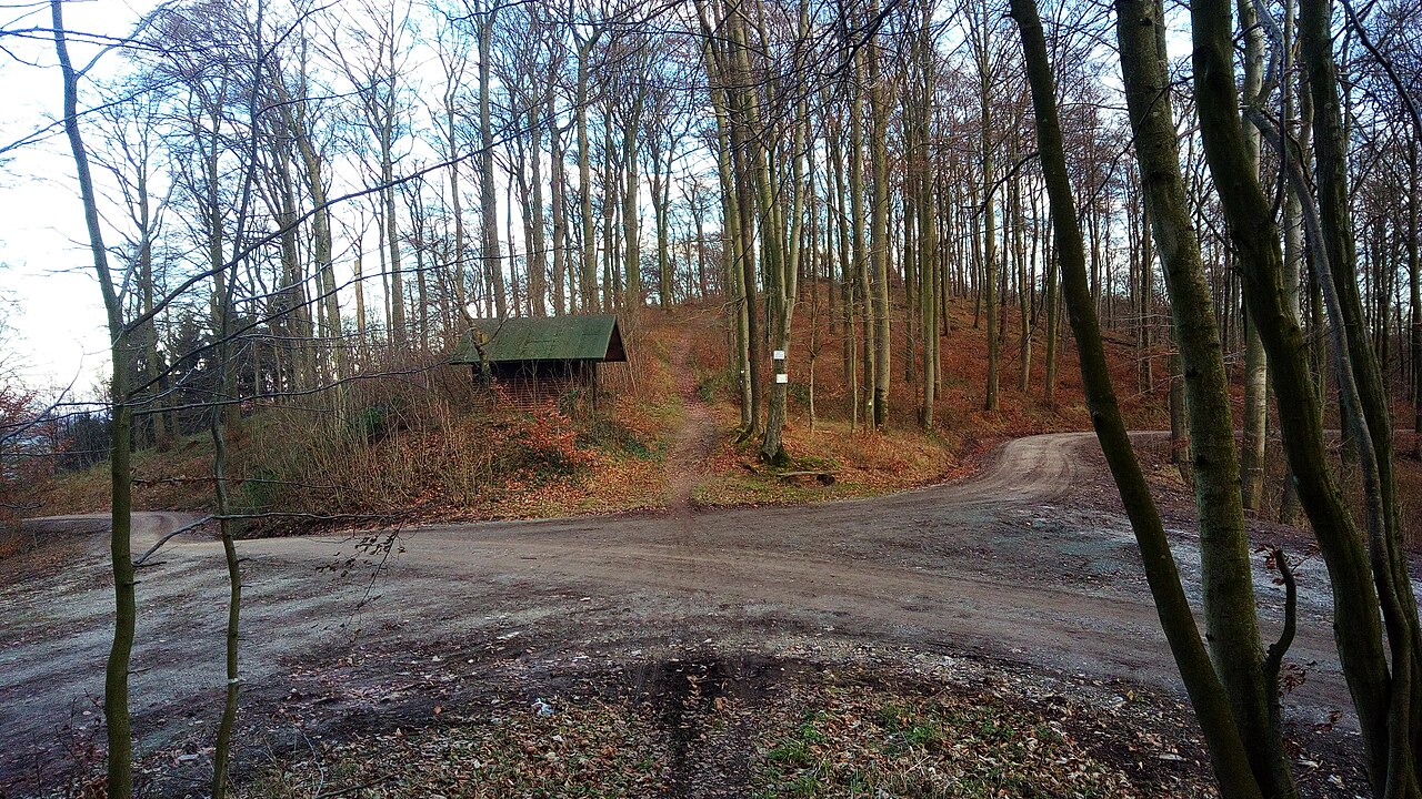 Summit of the Steinberg (Tosmar)
