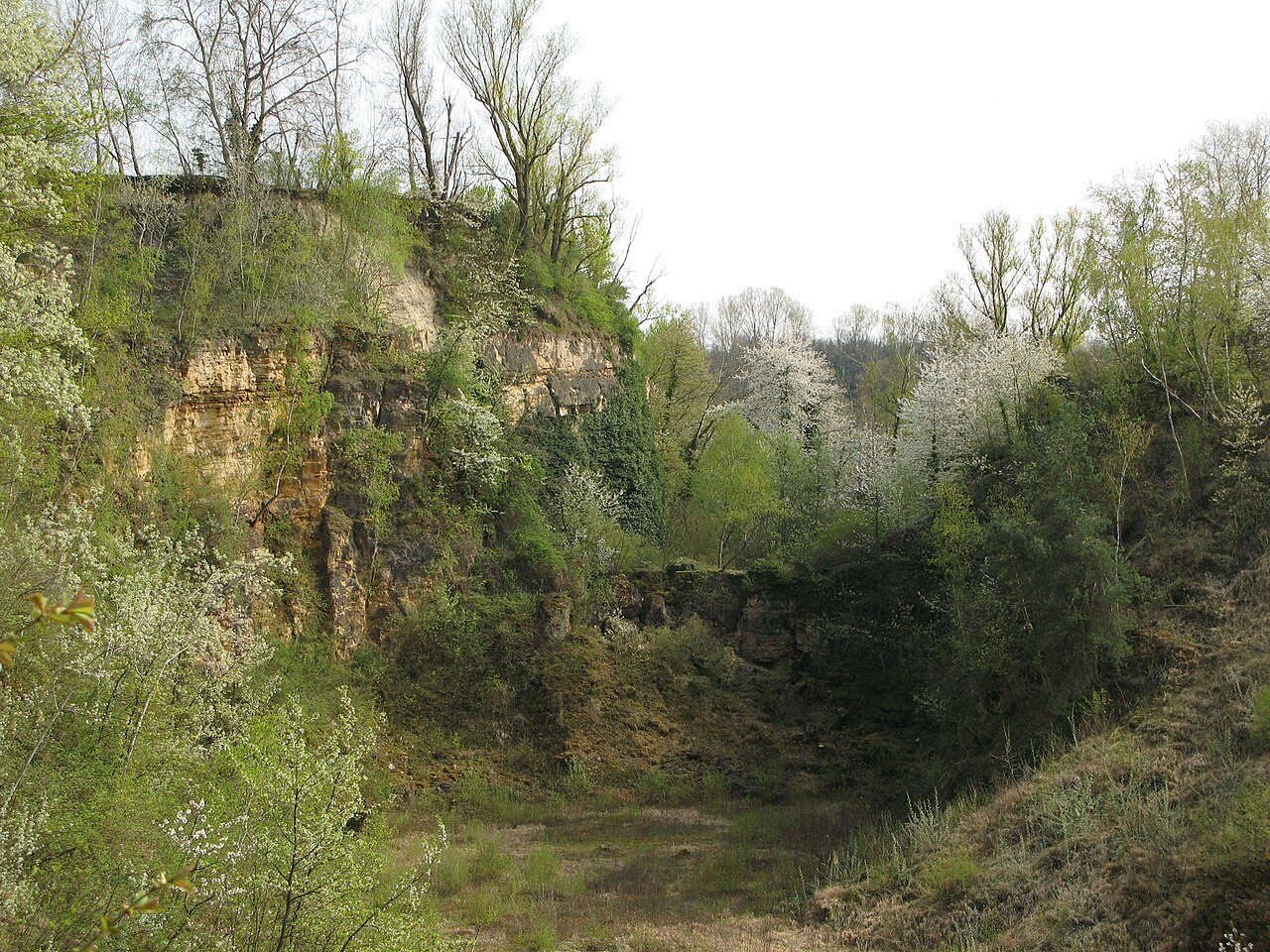 Naturschutzgebiet Steinbruch Ehrleshalden bei Herbolzheim im Landkreis Emmendingen