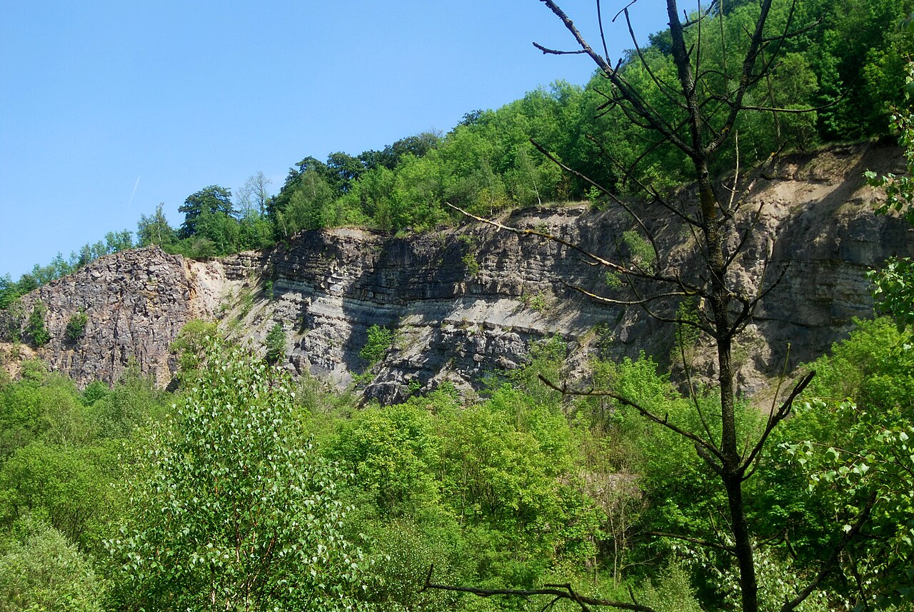 Naturschutzgebiet „Steinbruch Holzmühle“ (NSG HA 090), Region Hannover