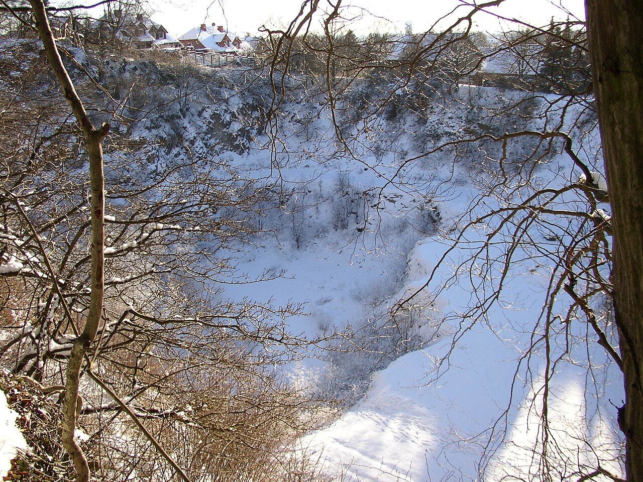 Halle (Westfalen) - Nature reserve stone quarry Schneiker in winter