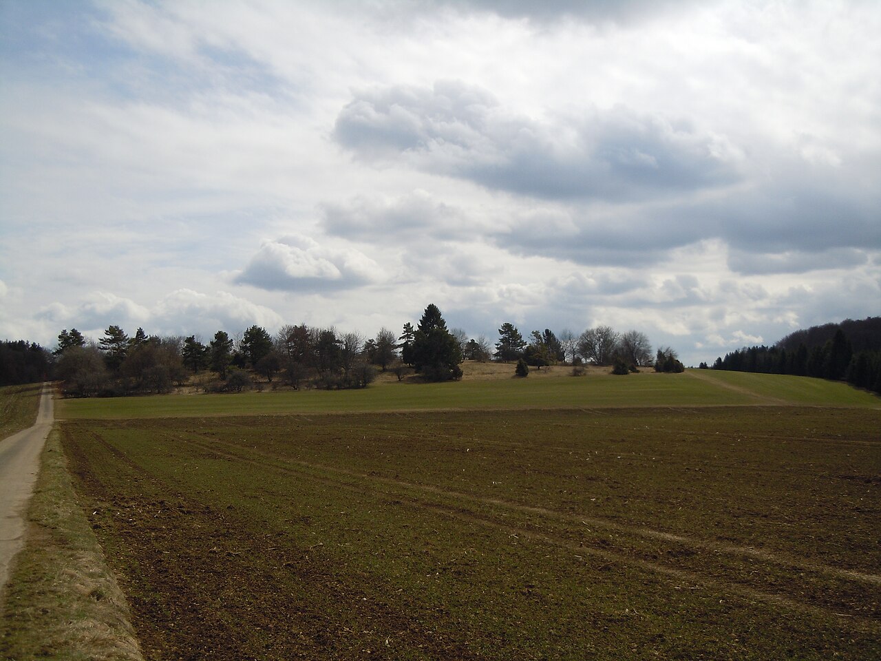 Gesamtansicht des Naturschutzgebiets Steinbuckel