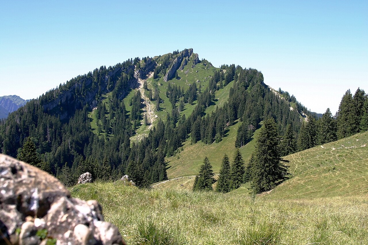 Steineberg (Allgäu) (1660 m, Nagelfluhkette) vom Bärenköpfle (1463 m) aus gesehen