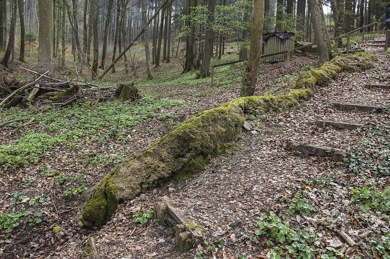 Steinerne Rinne, Hechlingen, Gesamtansicht