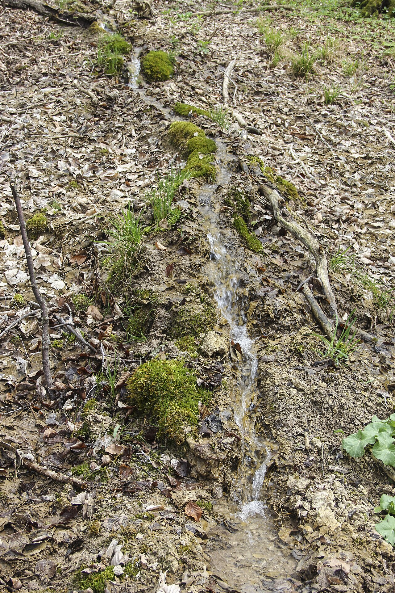 Steinerne Rinne, Oberweiler, Meinheim