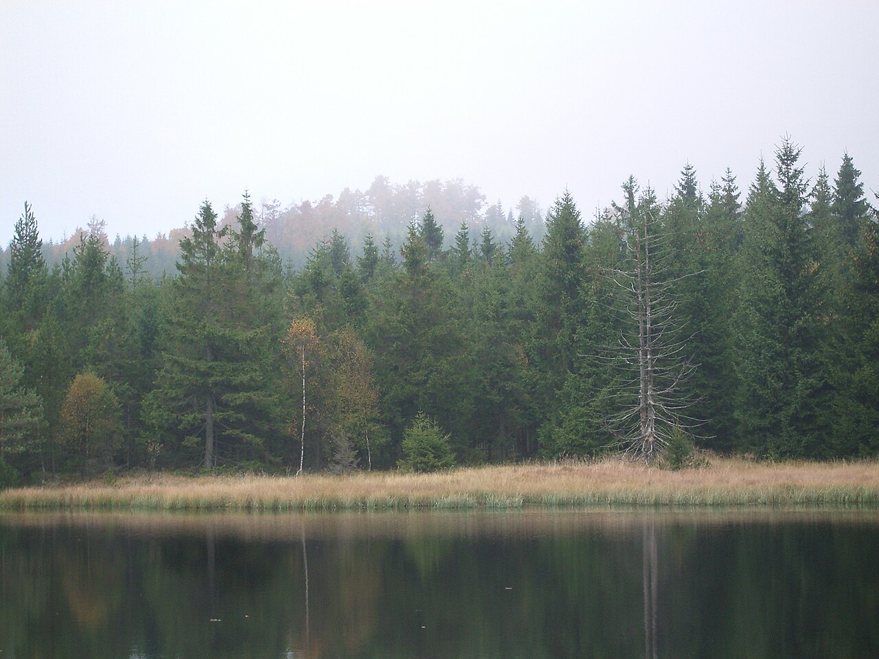 Steinhübel (Erzgebirge)
