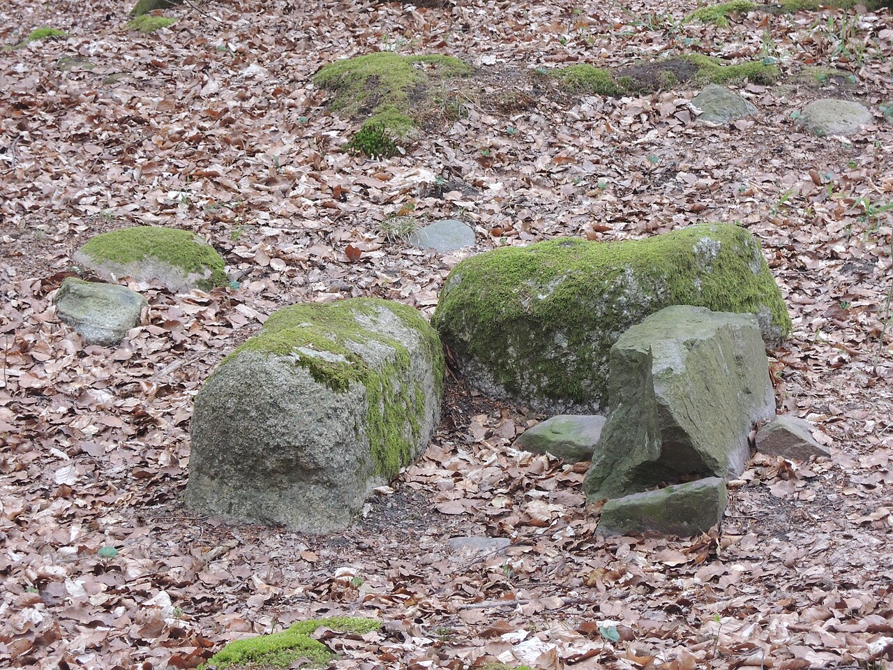 The megalithic cist Hohes Holz near Teterow, Germany