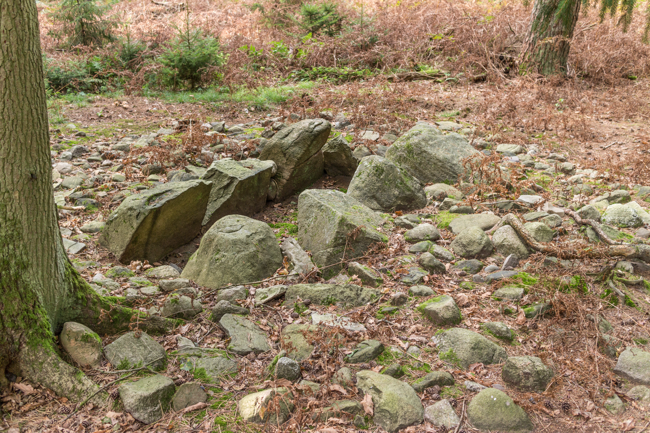 Steinkiste in der Feldmark Rade und nähere Umgebung