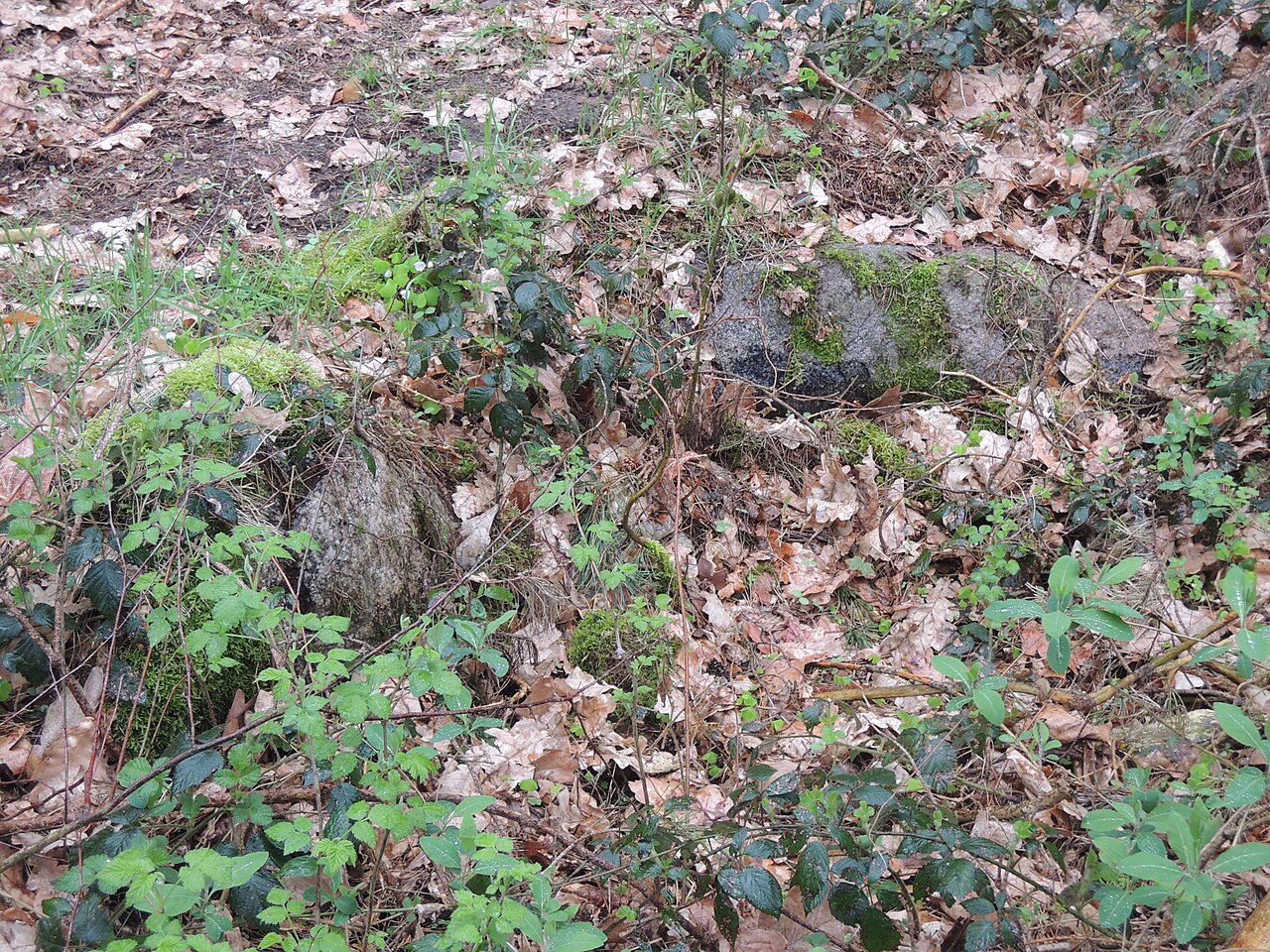 The neolithic cist of Liepen-Basedow, Germany