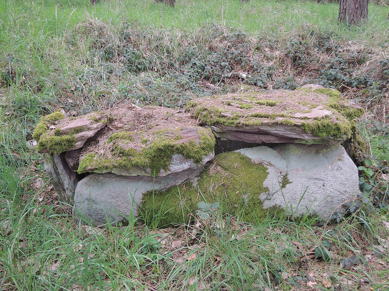 The megalithic tomb of Langwitz in Germany