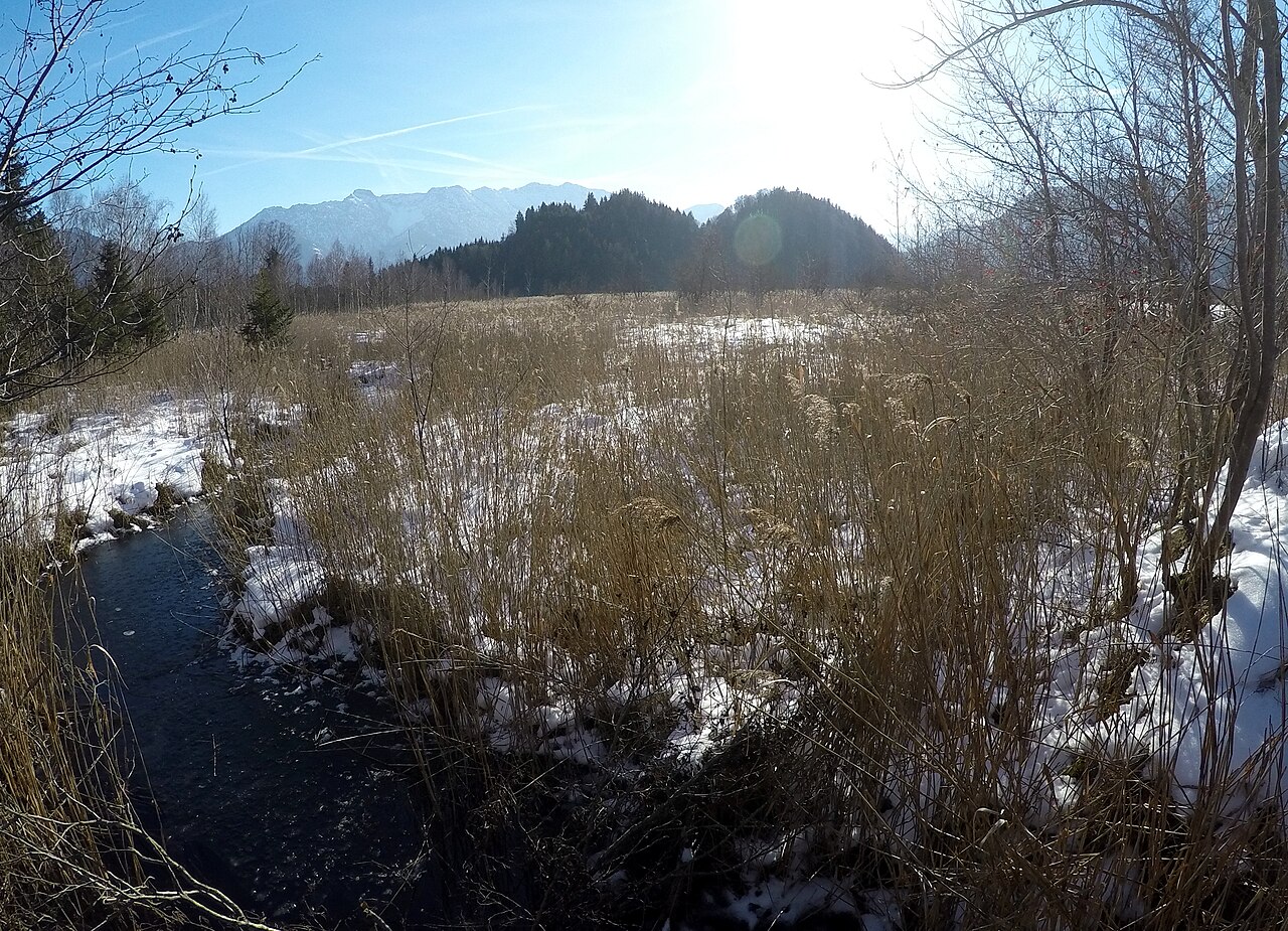 Steinköchel, Murnauer Moos, Bavaria