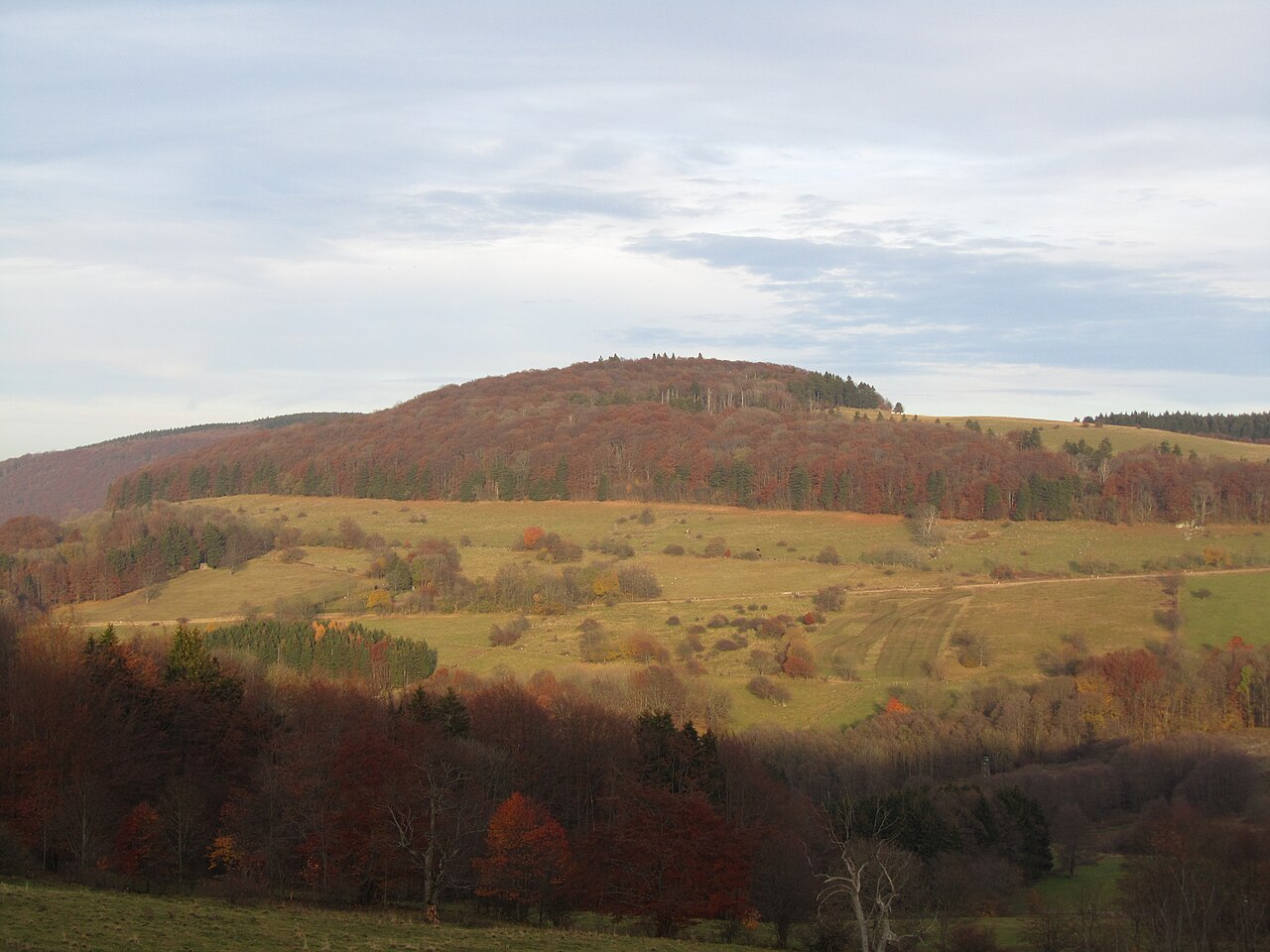 Der Steinkopf (888 m) in der Rhön von Westen