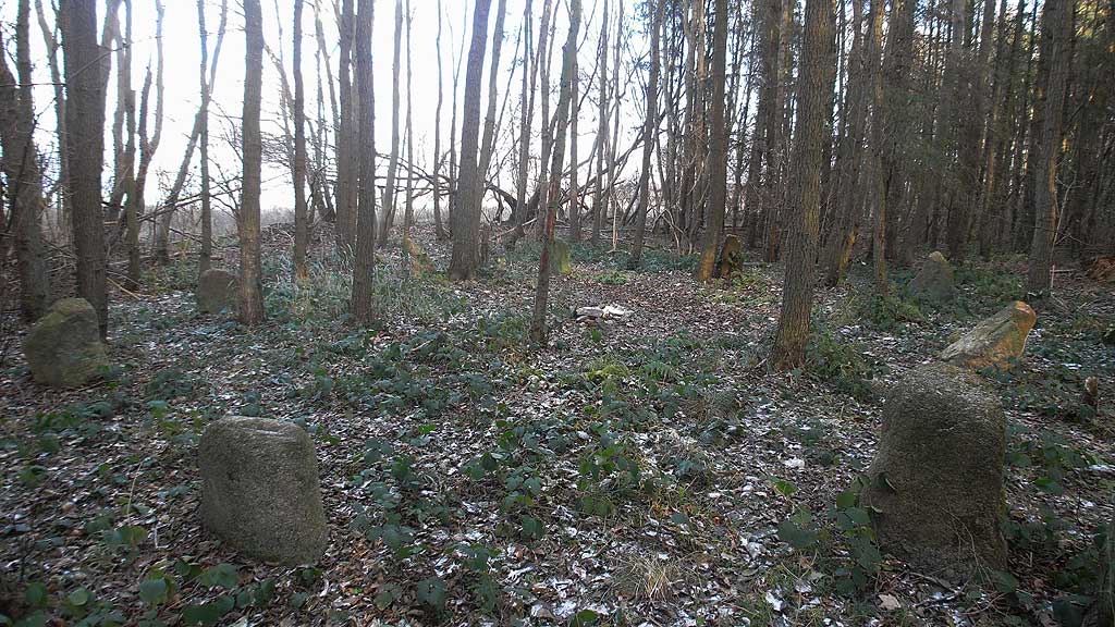 Rote Maaß, ein Steinkreis bei Damp in Schleswig-Holstein