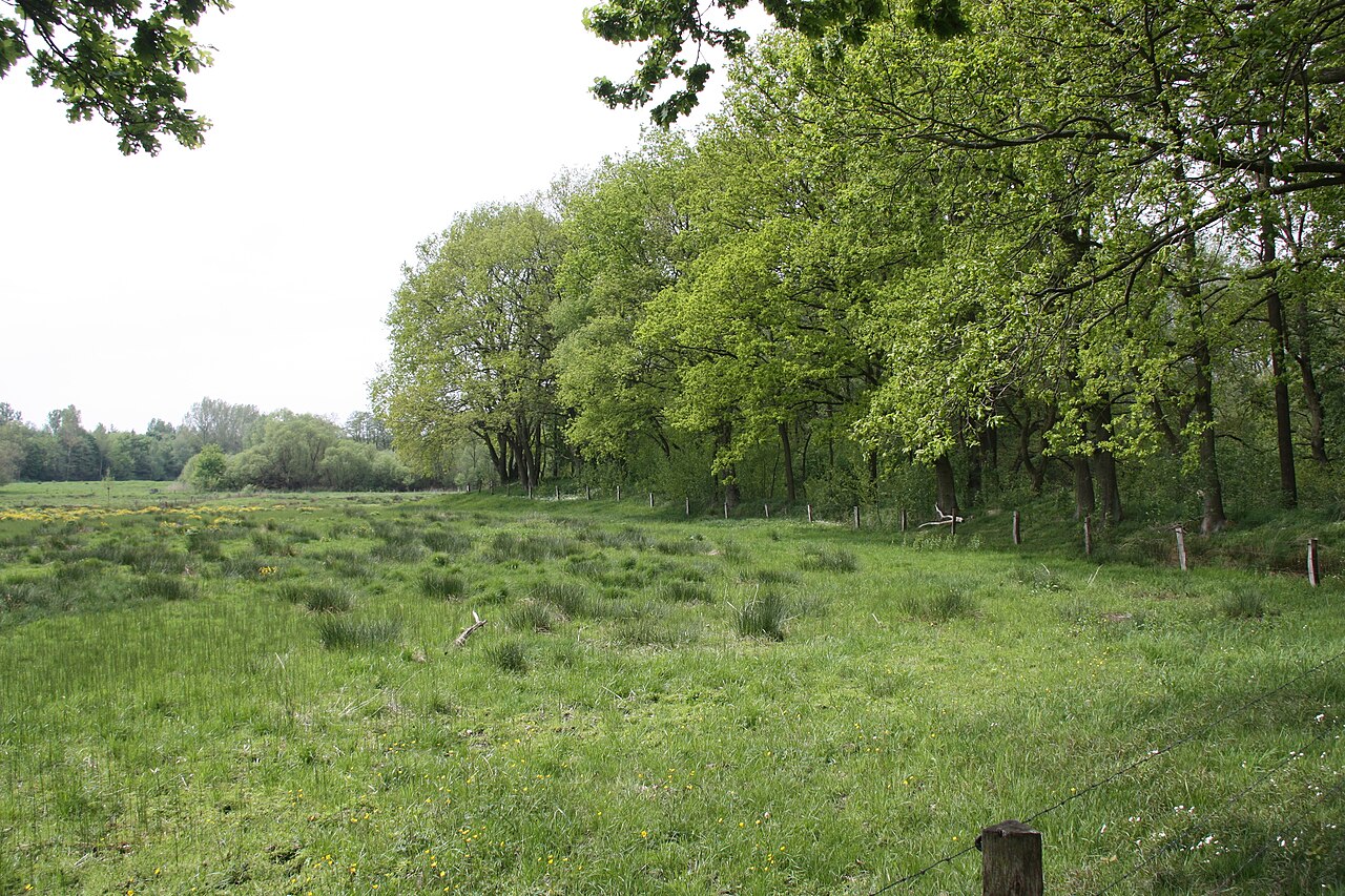 Hamburg, Rahlstedt, Stellmoorer Tunneltal, Waldrand