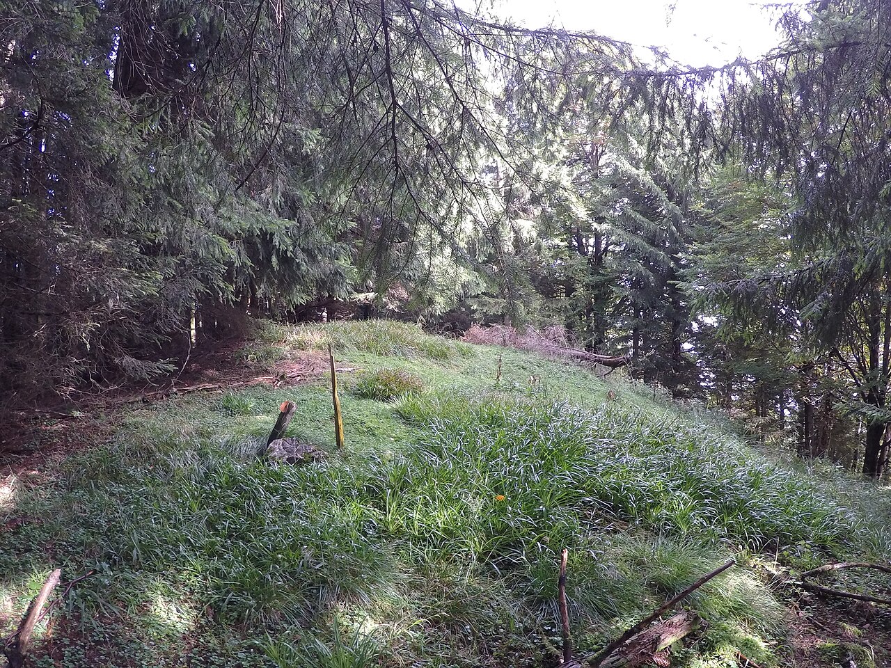 Sterneck (Mangfallgebirge), Bavaria