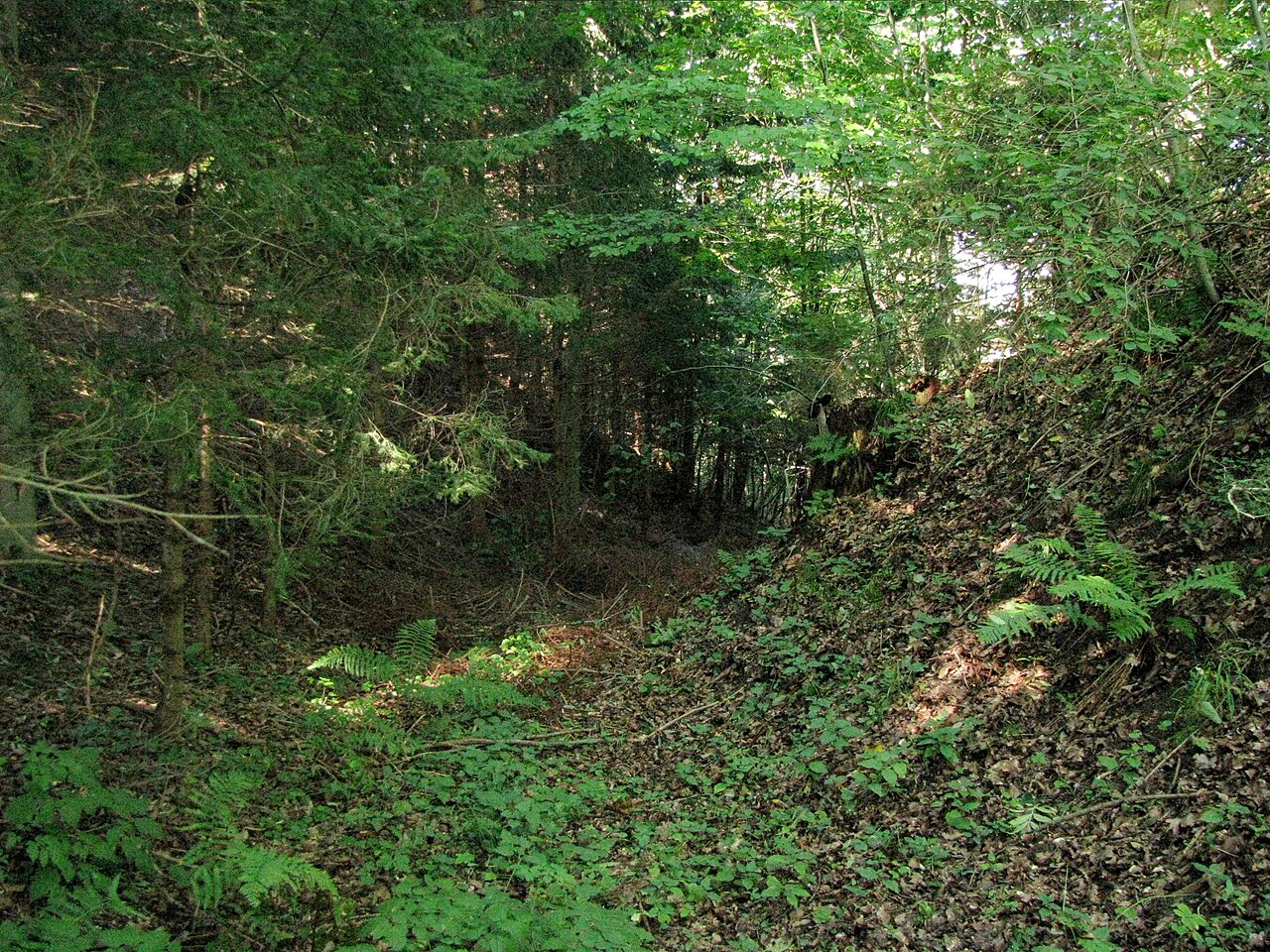 Graben bei der Burgstelle Stiegelburg