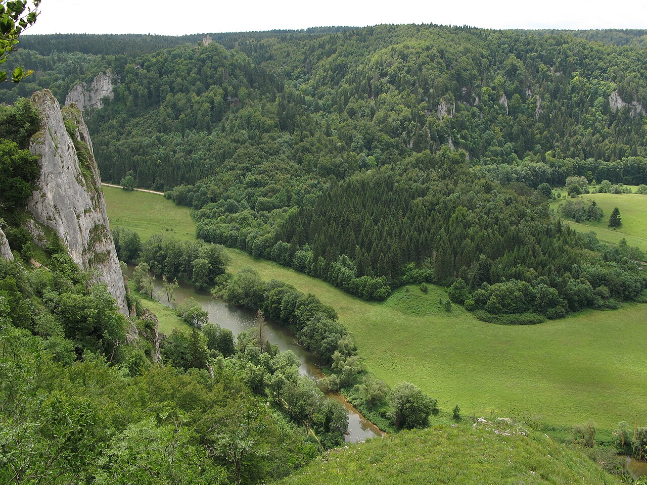 Foto von Stiegelesfels-Oberes Donautal