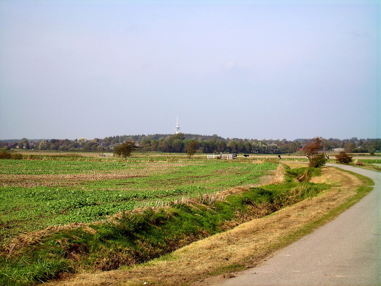View from 'Bredstedter Koog' to the Stollberg with Telecommunication Tower in North Frisia, Germany