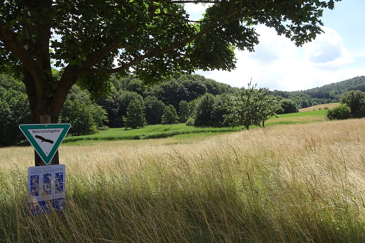 Nature reserve "Stollwiese bei Erzbach" at Reichelsheim-Erzbach (Odenwaldkreis, Hesse, Germany)