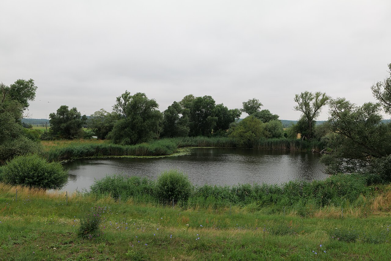 Ziems Loch im Nationalpark Unteres Odertal