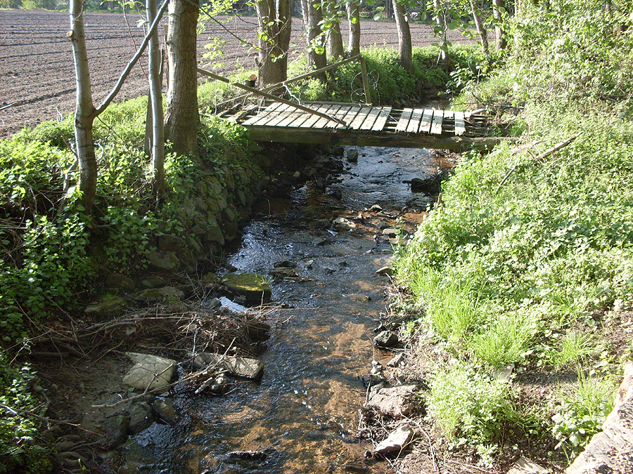 Der Strothbach im Norden von Sende