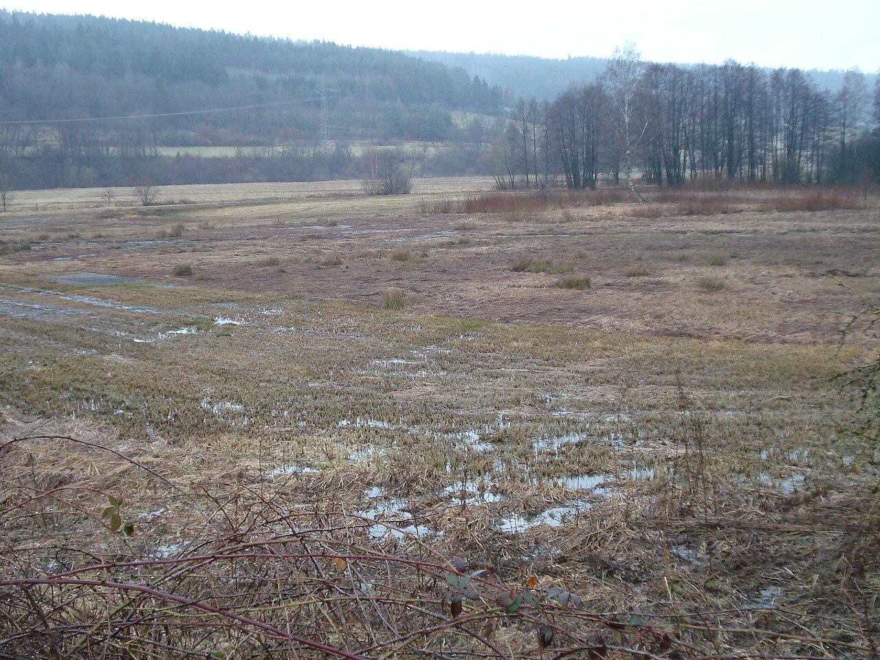 NSG Struth von Altengronau