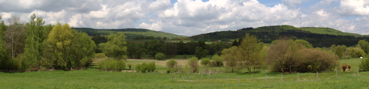 Strutwiesen bei Steinau near Steinau an der Strasse, Nature Reserve, Hesse, Germany