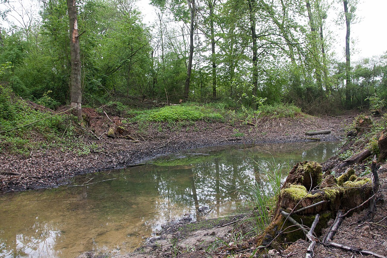 Naturschutzgebiet „Tagkaute von Lieblos“ (NSG 1435020) in Gründau, Hessen