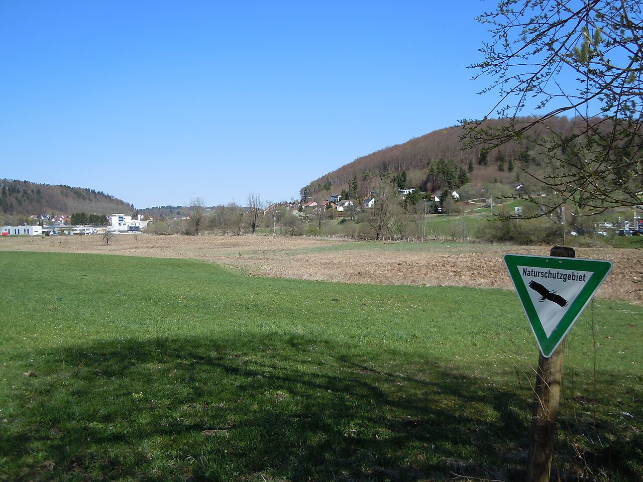 Naturschutzgebiet Tailfinger Ried (Schutzgebiets-Nr
