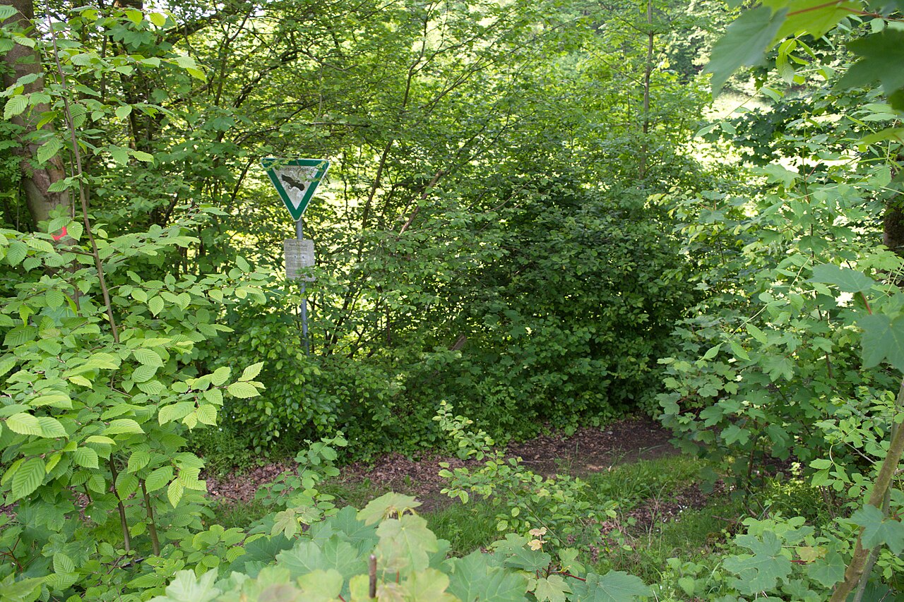 Beyenburger Straße, Schwelm