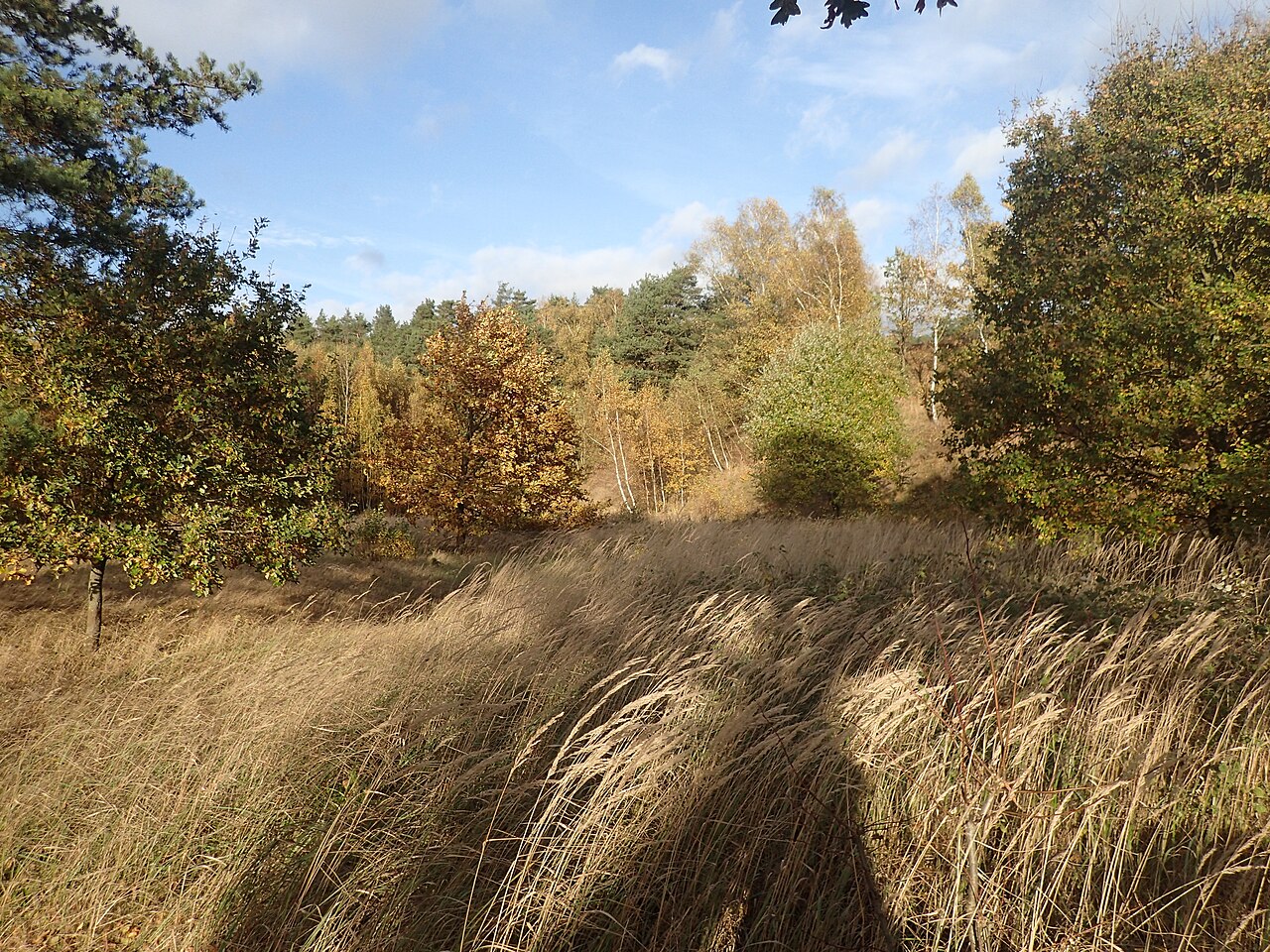 Nature reserve Talhänge bei Göttin, Germany, Schleswig-Holstein