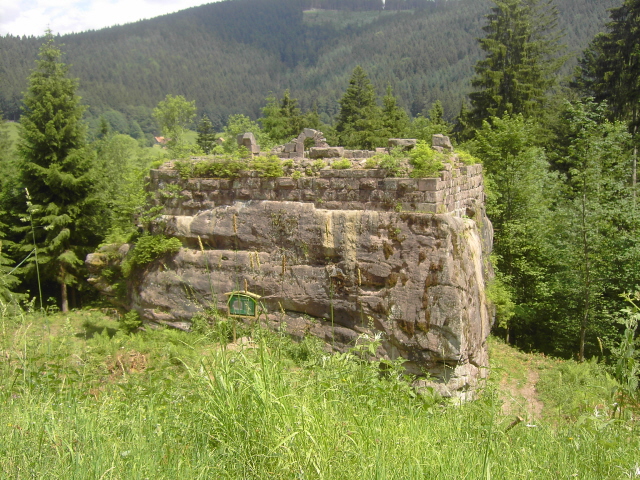 Ruine Tannenfels (Obertal)