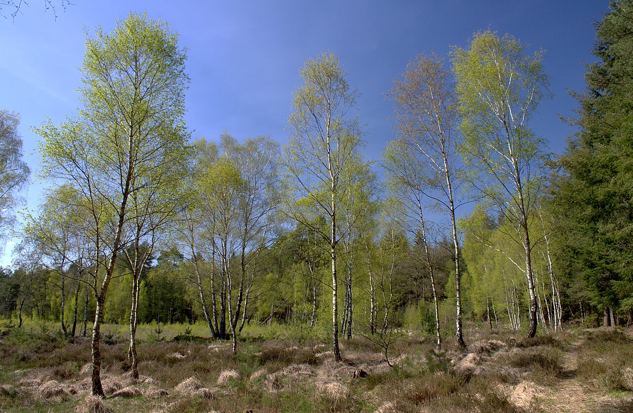 Foto von Tannersand und Gierenberg