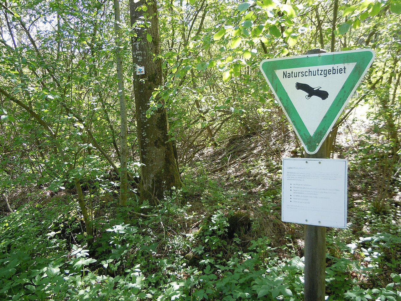 Wanderweg im Naturschutzgebiet Taubenäcker (Nr