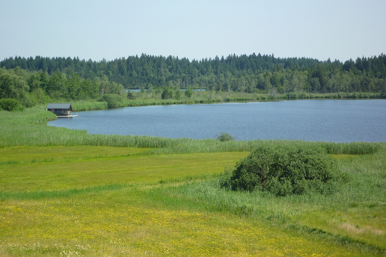 Isny - Großer Ursee im Taufmoos