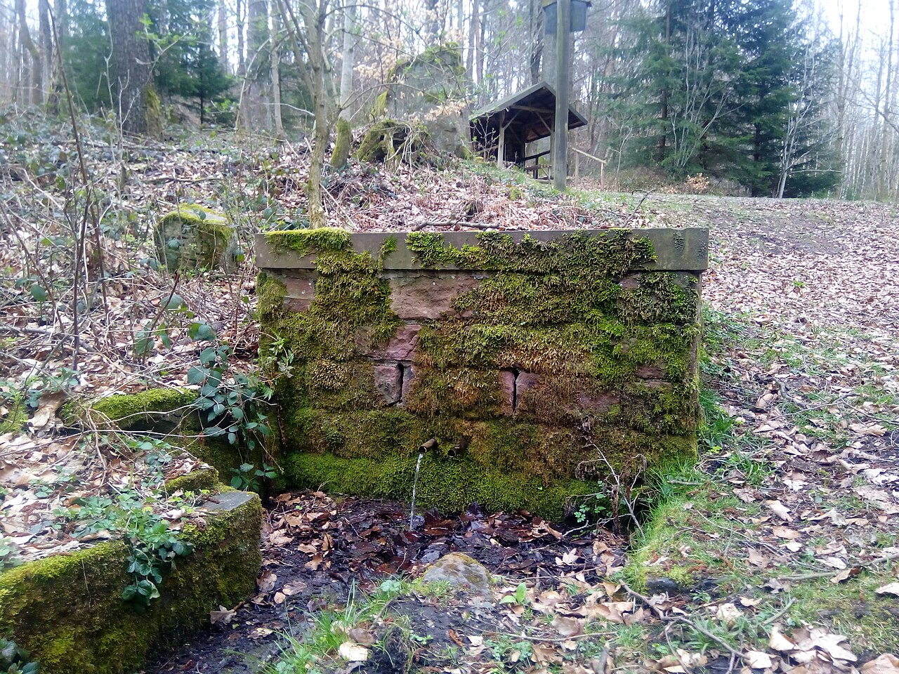 Walldürn Quelle Taufbrunnen