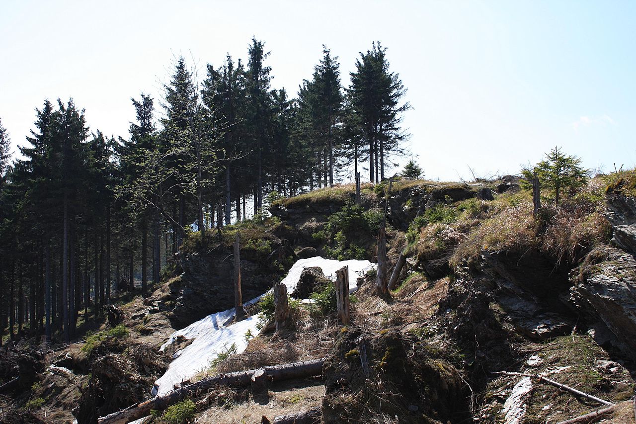 Top of Taufichtig Mountain, Ore Mountains