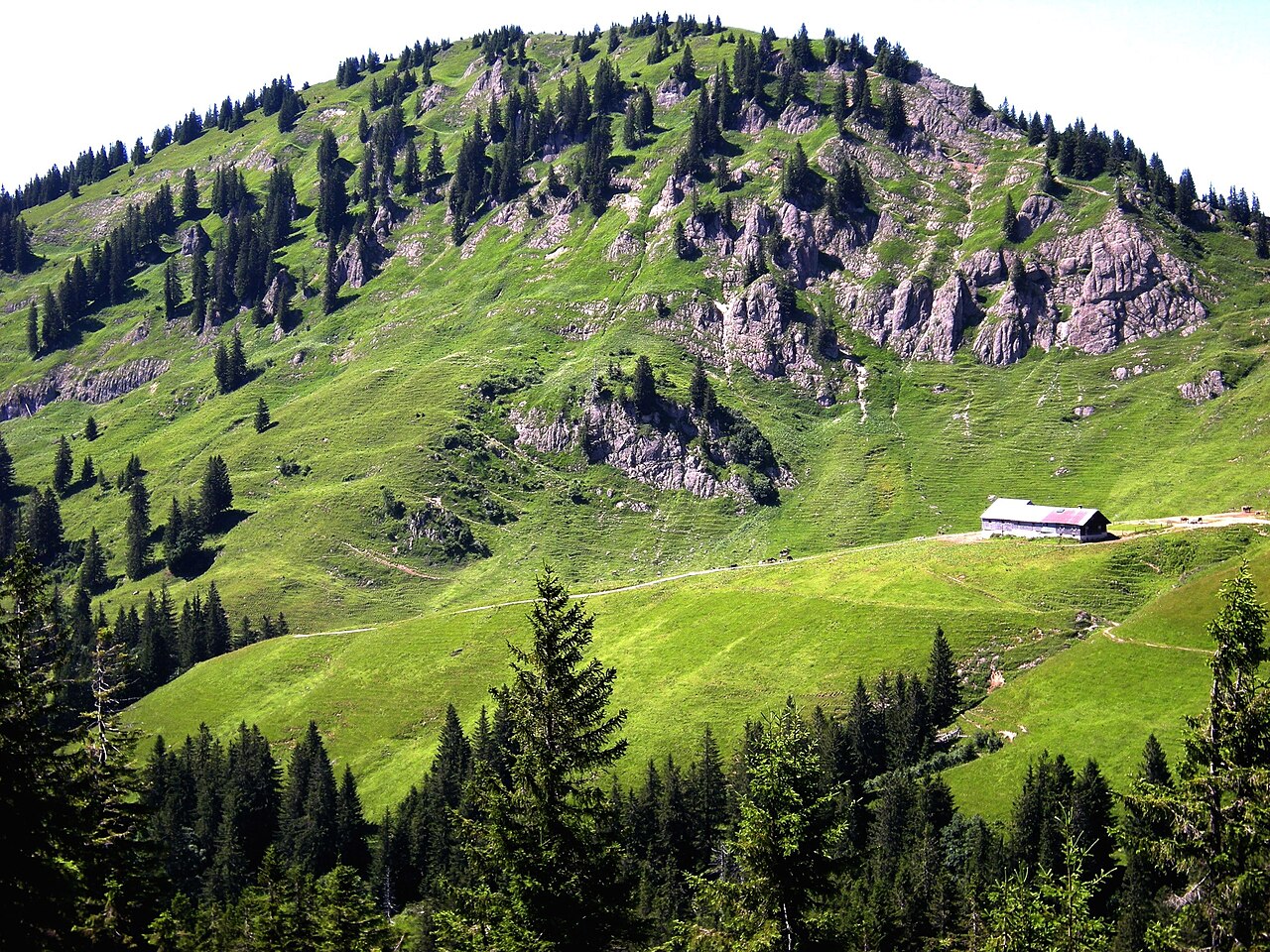 Tennenmooskopf über dem Gunzesrieder Tal