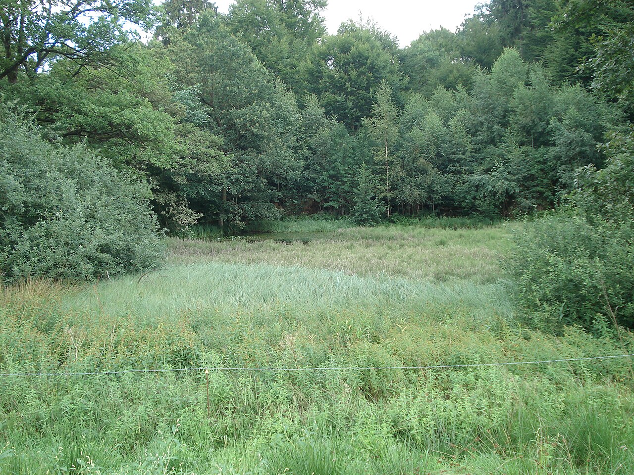 Im Naturschutzgebiet Teufelsbäder bei Osterode am Harz