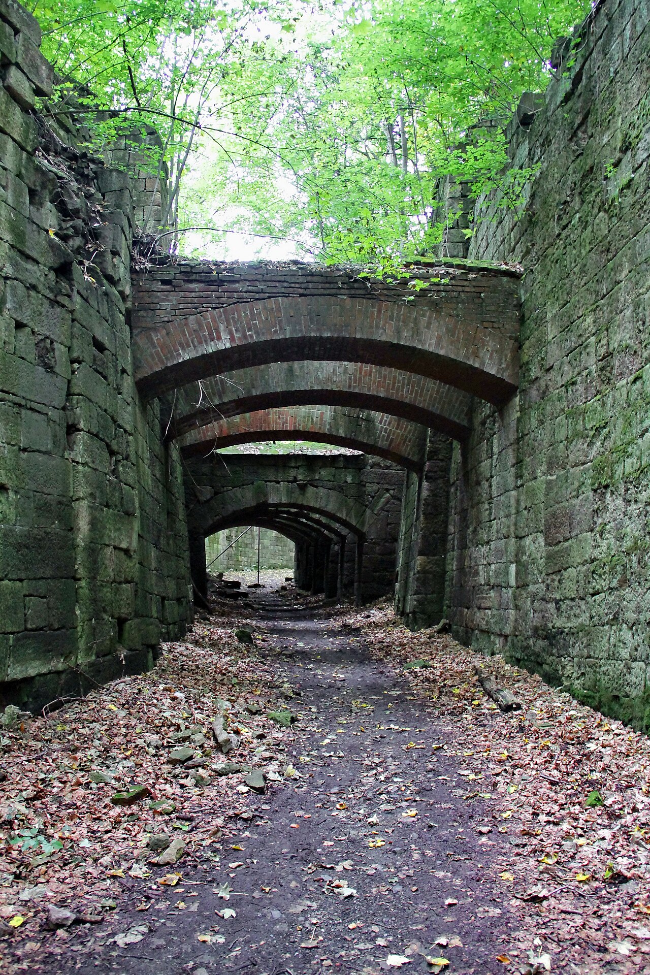 Im Zeisigwald in Chemnitz