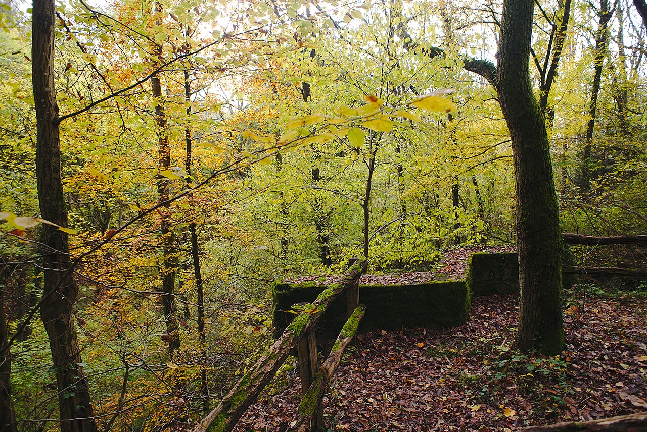 Blick auf die Teufelskanzel
