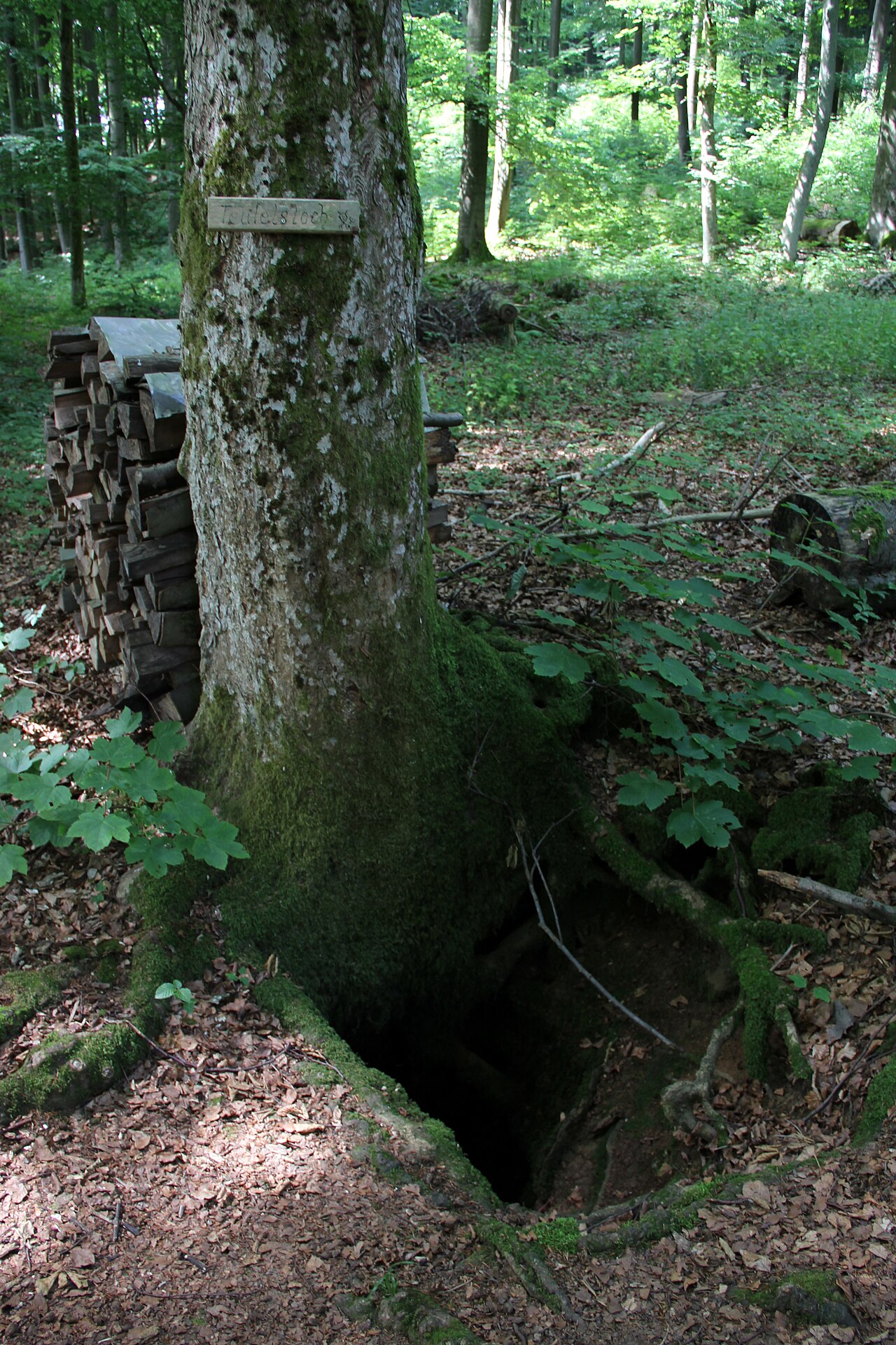 Grosser Hansgörgel, Höhle Hansgörgelschacht