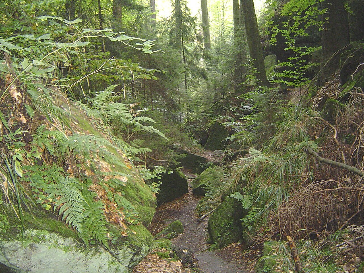 Naturschutzgebiet „Teufelsloch“ im Ortsteil Oberwaiz, Gemeinde Eckersdorf