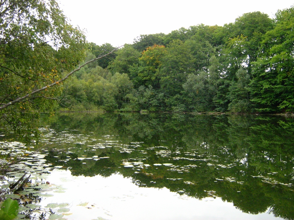 Foto von Teufelssee bei Thelkow