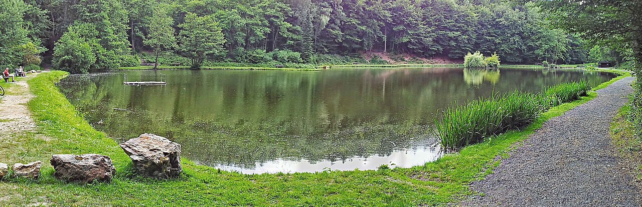 Der See im Naturschutzgebiet Theißtal bei Niedernhausen