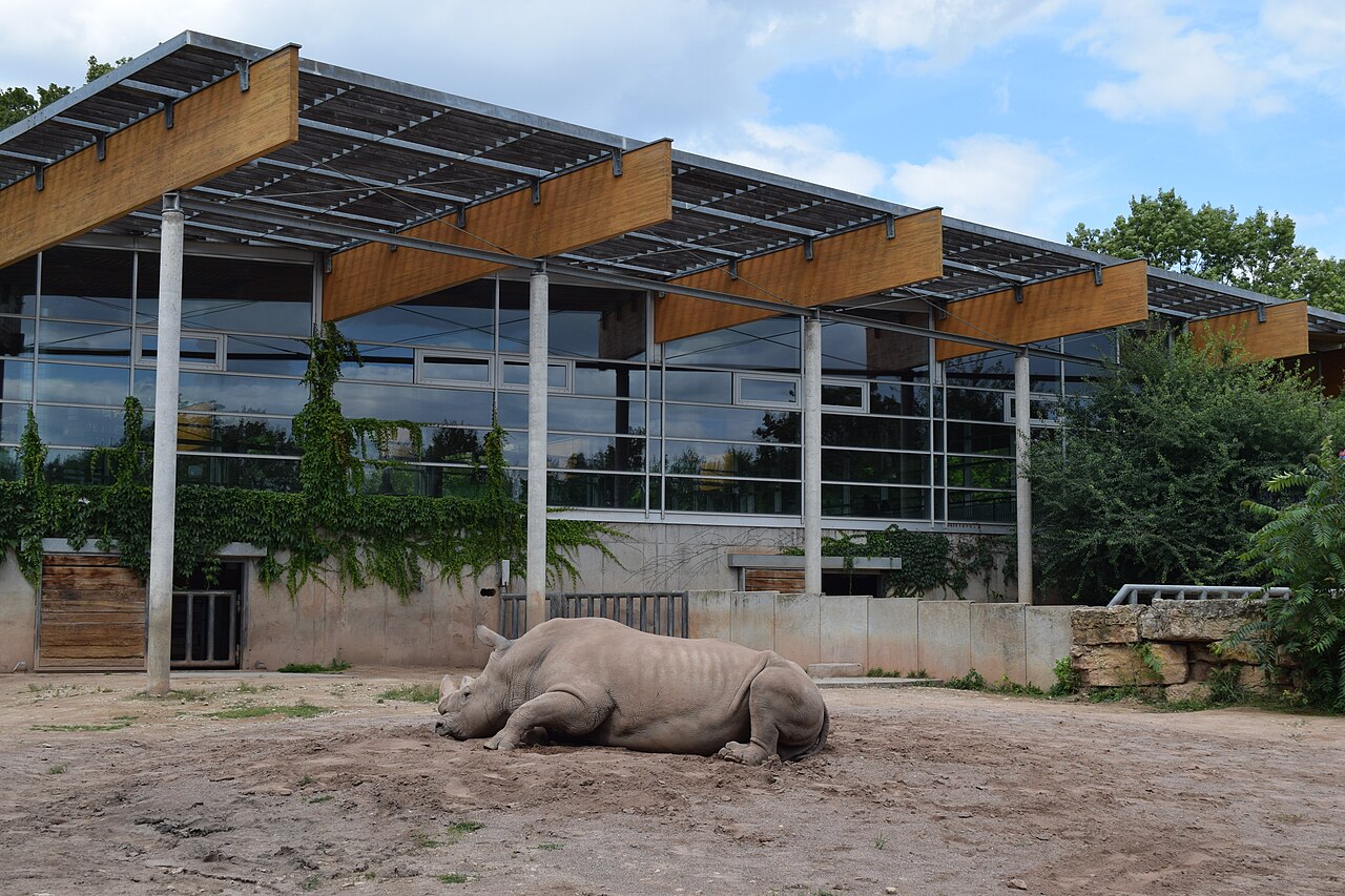 Nashornhaus Zoo Erfurt