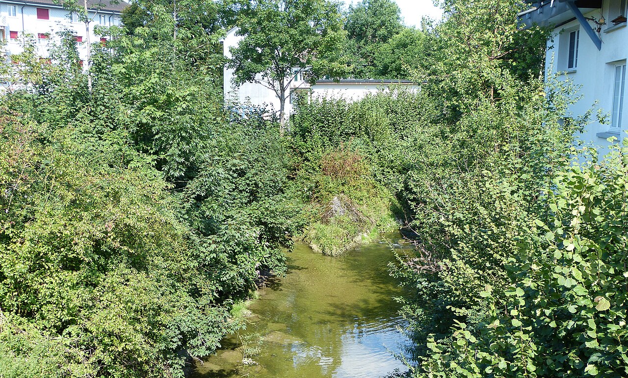 Der Thunbach fliesst in Matzingen in die Lauche