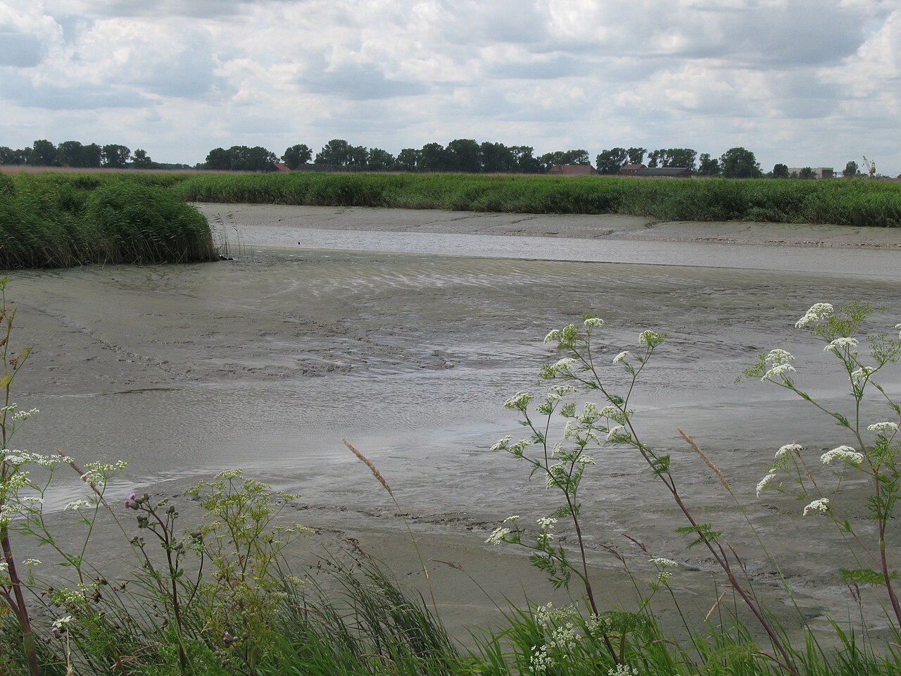Foto von Tideweser