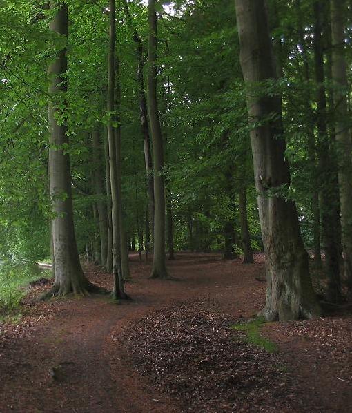 Foto von Tiergarten