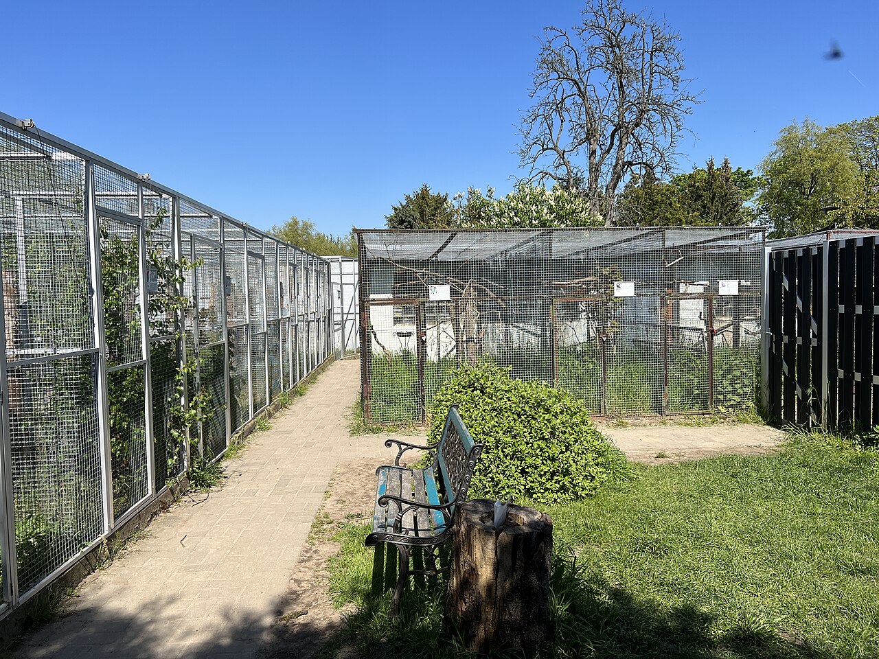 Tiergarten Teltow, Landkreis Potsdam-Mittelmark, Brandenburg, Deutschland