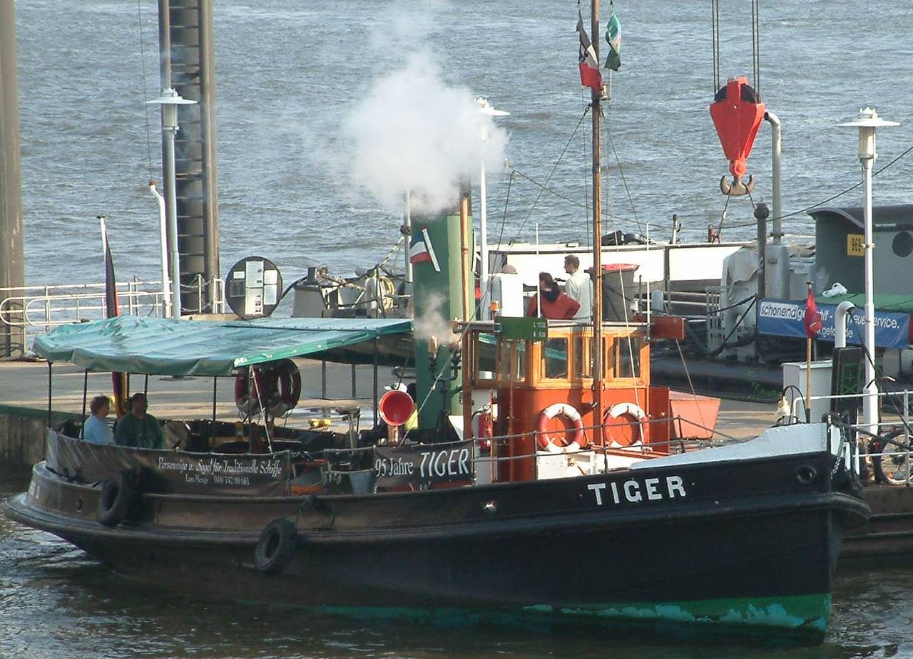 Tiger macht Dampf auf